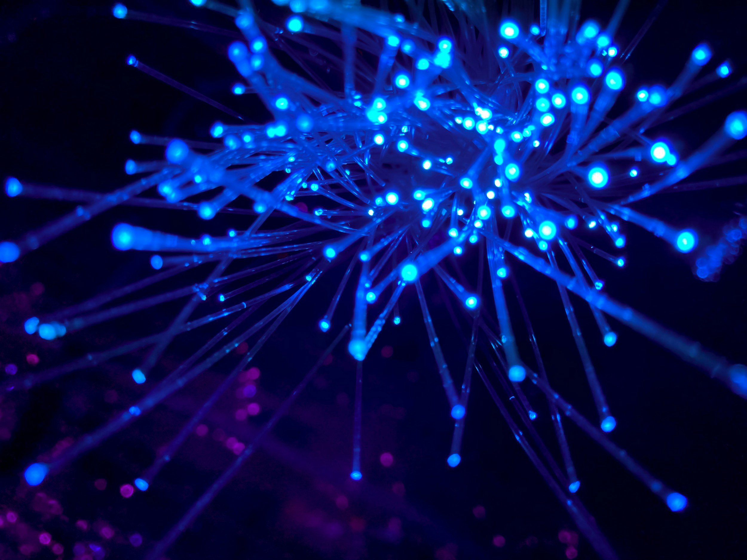 Edge Computing and Rugged Networking for Distributed Deployments
